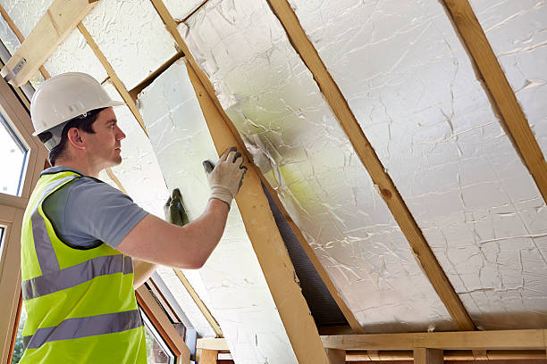 Best Insulation Maintenance and Repair in Newtown, OH