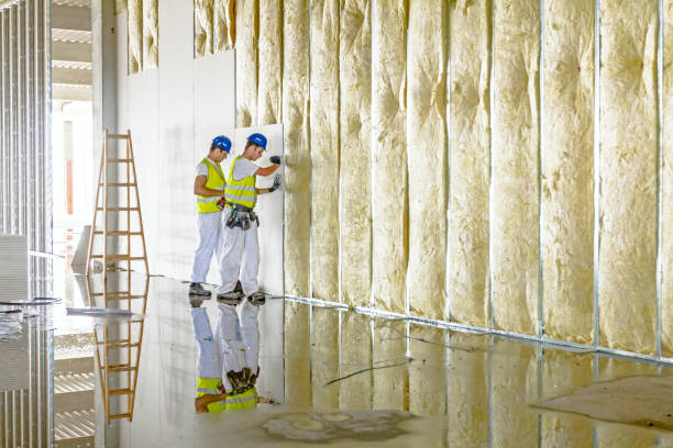 Best Commercial Insulation in Newtown, OH